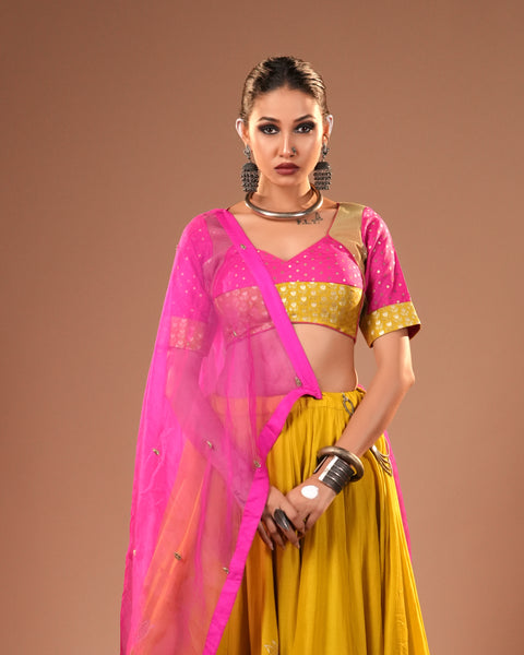 Haldi Gulab Lehenga Set