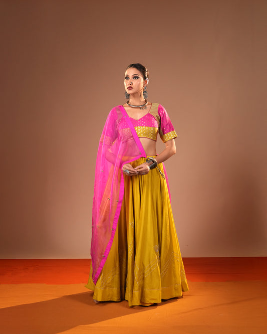 Haldi Gulab Lehenga Set